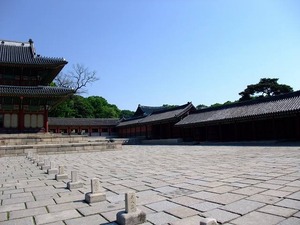 DSCF0220