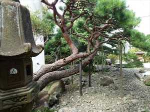 DSC07592_R