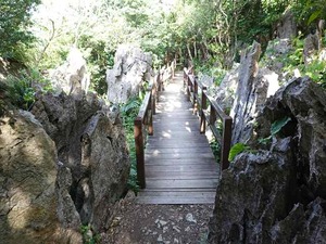 DSC05509_R