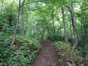DSC09321_R