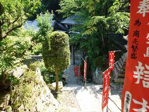 DSC03151_R