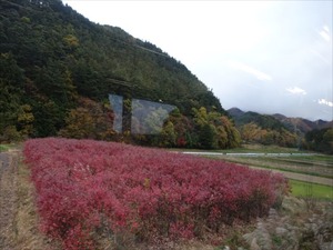 DSC01172_R