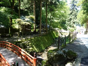 DSC05178_R