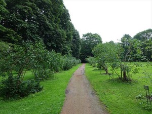 DSC09307_R
