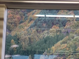 DSC01170_R