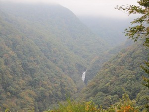 IMG_1022_R