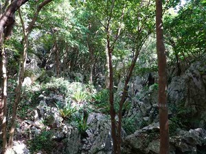 DSC05461_R