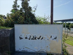 DSC09823_R