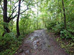 DSC08749_R