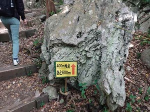 DSC05498_R