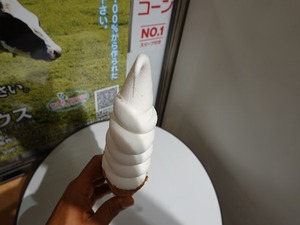 DSC04140_R