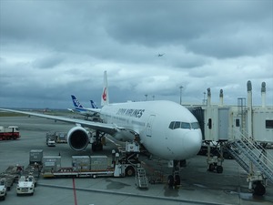 DSC08118_R
