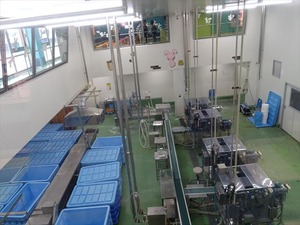 DSC08520_R
