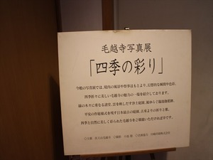 IMG_0939_R