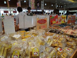 DSC08455_R
