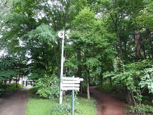 DSC09303_R