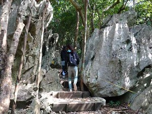 DSC05497_R