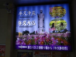 DSC08553_R