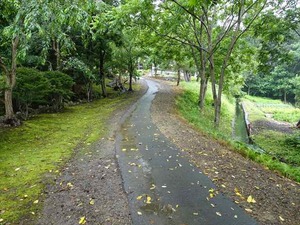 DSC06813_R