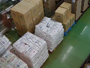 DSC08506_R
