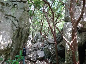 DSC05465_R