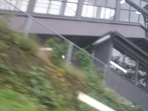 DSC01177_R