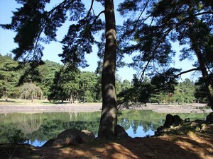IMG_0952_R