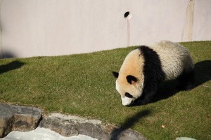 IMG_1642