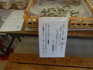 DSC08435_R