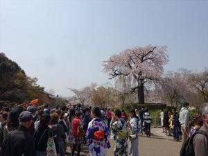 DSC09287_R