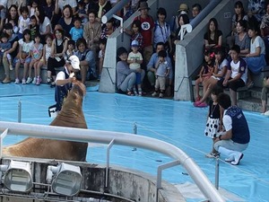 DSC05733_R