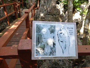 DSC05487_R