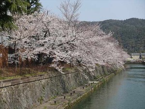 DSC09297_R