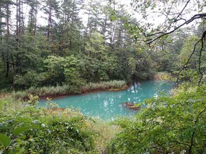 DSC08747_R