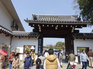 DSC09290_R