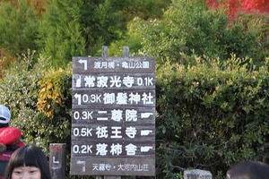 IMG_8908