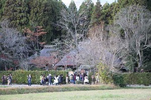 IMG_8903