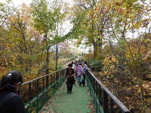 DSC00283_R