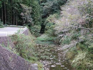 DSC08791_R