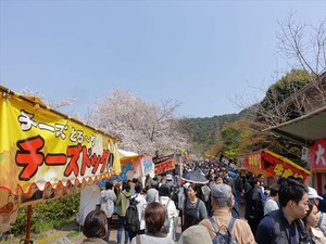 DSC09283_R