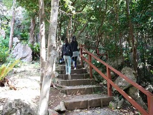DSC05496_R