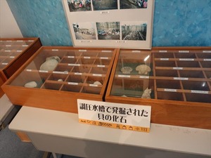 DSC04953_R