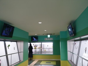 DSC08529_R
