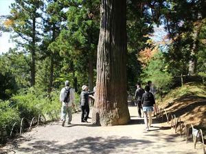 IMG_0951_R
