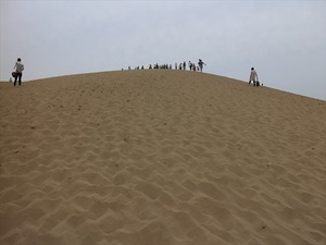 IMG_5017_R