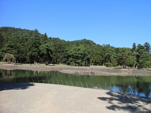 IMG_0947_R