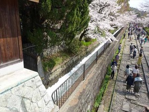 DSC09317_R