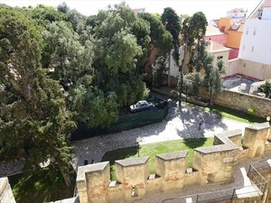 DSC07511_R