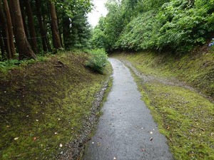 DSC06794_R