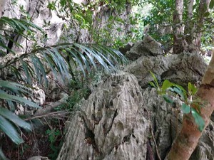 DSC05478_R
